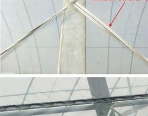 Bande de fixation pour film de <span class=keywords><strong>serre</strong></span> en PVC, corde de tension, <span class=keywords><strong>ceinture</strong></span> à haute résistance, petite <span class=keywords><strong>taille</strong></span>, blanche, marque ZEWO, pour une fixation sécurisée - Product Image 6