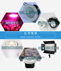 HLX OEM ODM Fabrik Flip-Chip COB LED-Chips 900W 1919 2828 3838 5454 <span class=keywords><strong>CRI</strong></span> 96 Grün Dimmbares Fotografie-Licht - Product Image 6