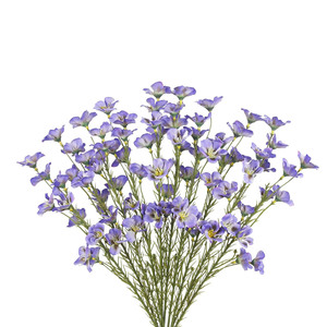 Ramas de Salgueiro Artificial Hechas a Mano en Oferta, Flores Blancas, Tallos Verdes, Plantas para Decoración del Hogar, Bodas, Graduaciones, Arreglos Florales - Product Image 1