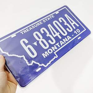 Productos en Oferta, Placas de Matrícula Personalizadas con Relieve OEM, Placa de Matrícula de Metal con Número Personalizado de China - Product Image 6