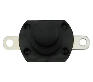 Ready to Ship Manufacturer OEM&ODM Big Current 10A ON-OFF 2 Pin Mini Push Button Switch