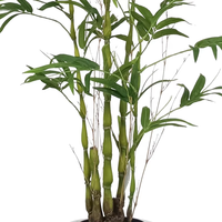 Oh Arts Wholesale 5ft 150cm Plantes et fleurs artificielles, Bonsaï de simulation, Arbre de bambou ventru, Plantas Artificiales