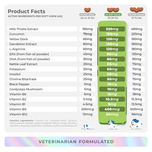 Suplementos Masticables Naturales <span class=keywords><strong>para</strong></span> <span class=keywords><strong>Perros</strong></span> OEM/ODM - Curcumina, Colina, Apoyo <span class=keywords><strong>para</strong></span> el Hígado y Riñones, Salud de la Colina, Cuidado de la Salud de las Mascotas - Product Image 5