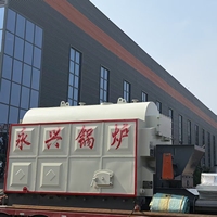 Chaudière à vapeur à combustible solide DZL à fonctionnement stable pour la production textile et la transformation des boissons