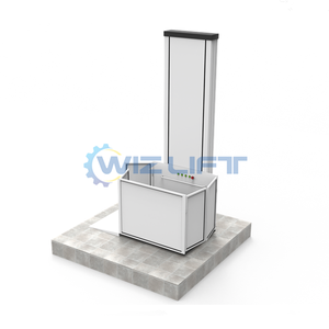 Ascenseur vertical hydraulique personnalisé pour villa, extérieur, pour personnes handicapées - Product Image 5