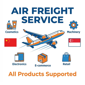 Transitario de Carga Aérea Confiable de <span class=keywords><strong>China</strong></span> a Singapur, Logística Puerta a Puerta DDP con Seguro y Recargo por Combustible, Tiempo de Tránsito Rápido - Product Image 4