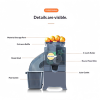 Commercial Juicer for Fruit and Vegetable Processing