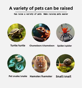 Terrario Portátil Transparente para Cría de Serpientes, Faunario para Dragón Barbudo, Lagarto, Araña, Rana - Product Image 2
