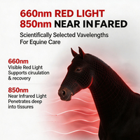 Enveloppe de thérapie par lumière rouge pour chevaux avec logo personnalisé, 660nm 850nm, coussin de thérapie LED infrarouge pour le cou du cheval, pour la récupération