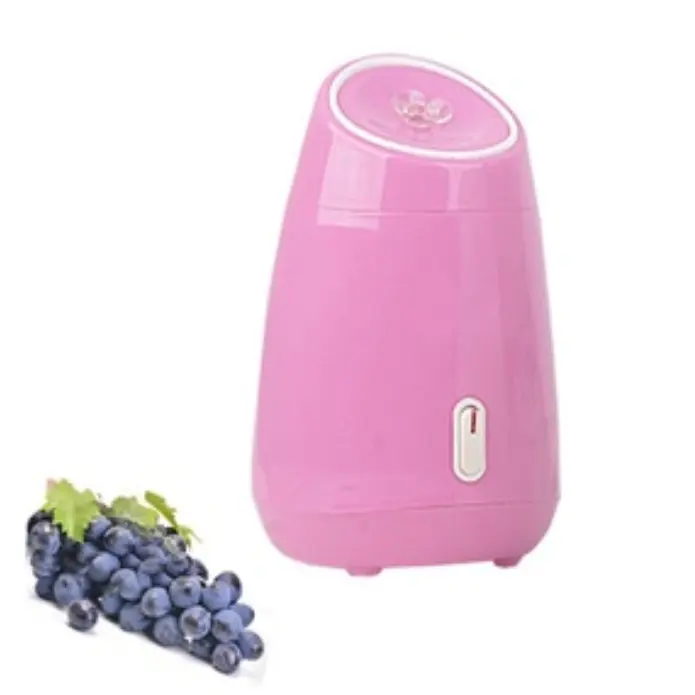 Best-Selling Portable Professional Ozone Nano Hot And Cold Mini Fruit Steam Salon Face Steamer