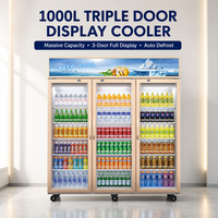 Réfrigérateur à boissons 500L à porte unique, à froid direct, avec thermostat numérique, idéal pour les bars à jus – Vente directe usine