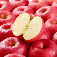 Goede leverancier verse Fuji appels exportprijs doos zoete smaak graad 1 maat 6cm 20kg oorsprong Shandong