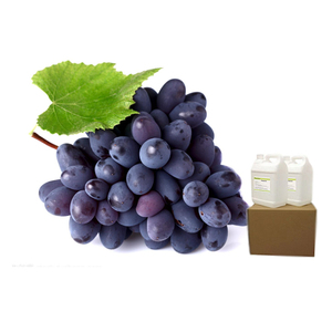 OEM Food Grade FSSC 22000 Certificated Grape Flavour for Drinks Beverage Ice Cream <strong>Concentrated</strong> Liquid <strong>Shisha</strong> Wholesale Prices - Product Image 1
