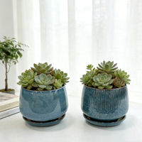 Pot à succulentes en céramique écologique classique, petits pots de jardinage pour la maison, pots de plantes personnalisés