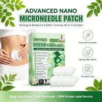 Patch Corporel Avancé Nano-Microneedle Moringa Berbérine NAD+ Complexe 10-en-1 Doux pour la Peau, Autocollant Portable Transdermique pour Soins Corporels
