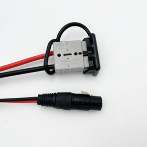 Risun Power Low Speed Fahrzeug Elektro Dreirad Motorrad Lithium batterie LiFePO4 48V 40AH 80AH LiFePO4 Lithium-Ionen-Batterien - Product Image 6