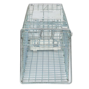 Petit piège à <span class=keywords><strong>cage</strong></span> pour animaux en métal pliable Humane <span class=keywords><strong>Live</strong></span> Rabbit Squirrel Opossum Squire Raccoon Catch Release Design pliable - Product Image 1