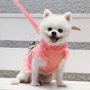 Bernapas mesh anjing dasi kupu-kupu gaun kotak-kotak anjing <span class=keywords><strong>harness</strong></span> tali dada dengan membawa - Product Image 5