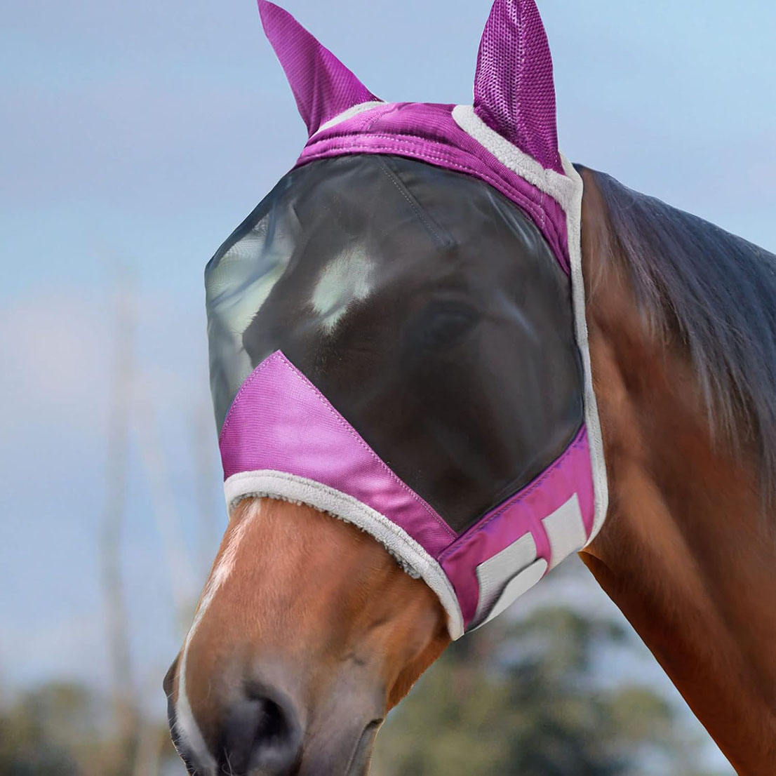 สีม่วงแดงเข้ม