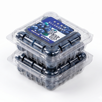 Herbruikbare PET transparante plastic doos voor blauwe bessen, geventileerde clamshell voor vers fruit, aardbeien, frambozen, groothandelsverpakking