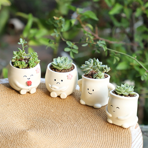 Semplicità moderna Mini vasi di piante succulente in vaso quattro emozioni fiori Potter per ufficio scrivania centro commerciale per il giardino di casa - Product Image 6