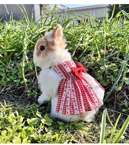 Joysing New Cute Cotton <strong>Rabbit</strong> Dress Pet Cat <strong>Clothes</strong> Bowknot Floral <strong>Rabbit</strong> Skirt High Quality Pet Dress - Product Image 3