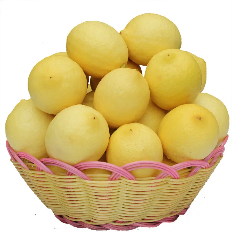 Natural Hot Selling Delicious fresh Lemons In Bulk With Low Wholesale Price Fruits In Bulk Fresh Lemon