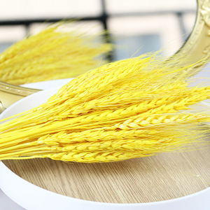 G105 <span class=keywords><strong>Bouquet</strong></span> de grains de blé naturel <span class=keywords><strong>Bouquet</strong></span> d'herbe sèche Arrangements de bricolage <span class=keywords><strong>Bouquet</strong></span> de tiges de gerbes de blé séché - Product Image 6