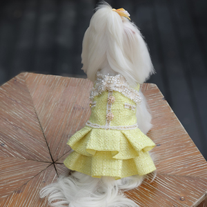 Abito da Principessa Giallo per Cani, Vestito Classico Comodo e Lussuoso per Cuccioli, Alta Qualità, Durevole, in Poliestere - Product Image 1