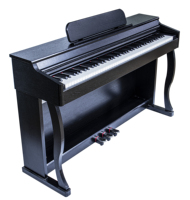 Meilleurs claviers bon marché pour apprendre le Piano à touches pondérées Piano numérique avec métronome chorale effets sonores (DP791)