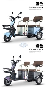 Véhicule électrique robuste à trois roues pour les déplacements et le transport domestiques - Product Image 3