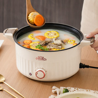 Micro autocuiseur basse pression pot à soupe Surface antiadhésive Double couche automatique cuisine électronique outil de cuisson en plein air