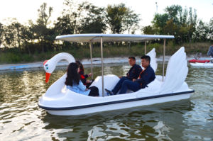 Bateau à Paddle en fibre de verre, pour parc aquatique en forme de cygne, pagaie bon marché à <span class=keywords><strong>vendre</strong></span> - Product Image 3