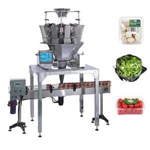 Cherry Tomato/Blueberry/Mushroom Punnet Packaging Fresh Vegetable And Fruits Packing Machine