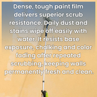 Peinture texturée en pierre naturelle IMS pour décoration murale extérieure avec revêtement en caoutchouc acrylique pour meubles et peinture marine
