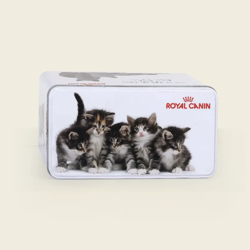 Fabrik angepasste Form Größe Logo Katze Katze Hund Kleines Fleisch Jerky Snack Square Tin Box Tiernahrung Metall verpackung mit Deckel