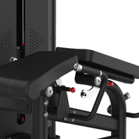 Máquina Comercial para Flexiones de Piernas en Decúbito Prone para el Desarrollo de la Fuerza de los Isquiotibiales