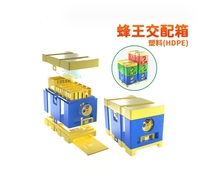 Reine accouplement Nuc boîte Mini Nuc pour abeilles abeille ruches boîte abeille maison reine élevage boîte pour l'apiculture