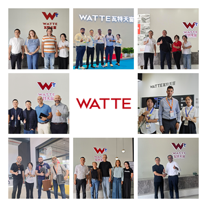 Finestra per Tetto Moderna con Apertura Automatica Telecomandabile, Grande Dimensione, in Alluminio, Scorrevole Elettrica, Lucernario in Vetro per Villa - Product Image 5