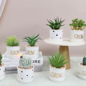 Plantes succulentes artificielles décoratives de <span class=keywords><strong>cactus</strong></span> petites plantes artificielles en pot VP-HL006 - Product Image 1
