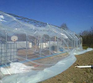 Cerceau agricole 20-100m <span class=keywords><strong>Tunnel</strong></span> commercial économique Film plastique pour serre de <span class=keywords><strong>tomates</strong></span> - Product Image 4
