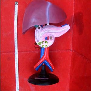 J33216 - Product Image 2