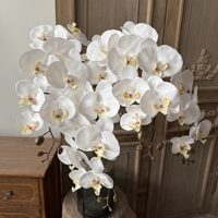 Buket Bunga Plastik Anggrek Phalaenopsis 9 Kepala Buatan untuk Dekorasi Rumah Tamu, Kafe, Festival, dan Perlengkapan Fotografi