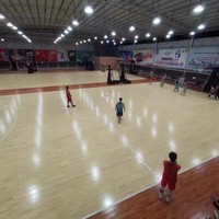 Parquet sportif en bois de bouleau massif FH FH-22D pour salles de basketball et de badminton intérieures, gymnases scolaires et terrains de sport