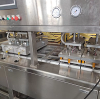Machine d'emballage sous atmosphère modifiée automatique continue GFY-480M-Q pour fruits conservés et raisins secs