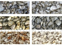 Separador de Piedras con Matriz de Expulsión Personalizada WENYAO, Clasificación Dirigida para Máquina de Clasificación de Minerales de Calidad Superior