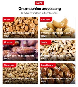 SUN Nueva Máquina Comercial Automática de Tostado Continuo y Saborización para Cacahuetes, Anacardos, Semillas, Nueces Pecanas y Frutos Secos con Aire Caliente - Product Image 5