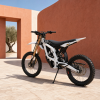 Batterie 45AH, garde au sol de 280 mm, vente en gros de motos électriques Surron Light Bee 2.