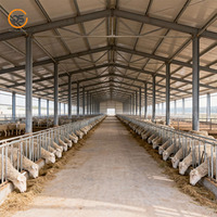 Abri pour moutons en acier préfabriqué à grande portée personnalisé, abri pour chèvres et moutons en acier léger