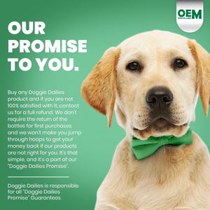 Glucosamine Chondroitin MSM สำหรับสุ<span class=keywords><strong>น</strong></span>ัขอาหารเสริมข้อต่อ,วิตามิ<span class=keywords><strong>น</strong></span>ต่ำสำหรับสุนัขหญ้าสีเขียวทุ่งหญ้าเผาจุด Chews สำหรับสุ<span class=keywords><strong>น</strong></span>ัข - Product Image 6